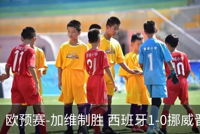 欧预赛-加维制胜 西班牙1-0挪威晋级欧洲杯正赛