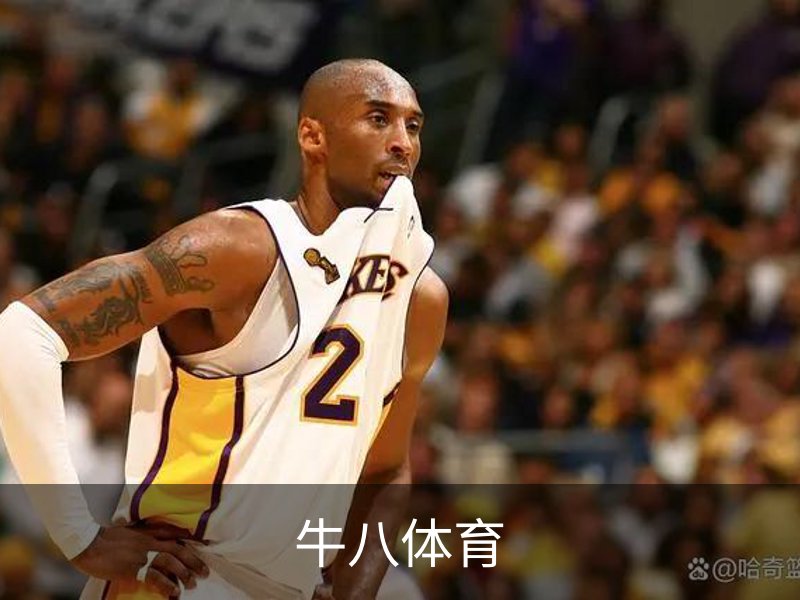 牛八体育介绍